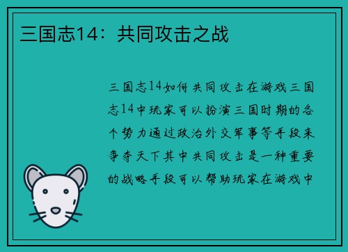 三国志14：共同攻击之战